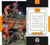پاکسازی درختان ریشه کن شده در میدان صیقلان