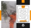 برف تکانی درختان توسط پاکبانان سازمان
